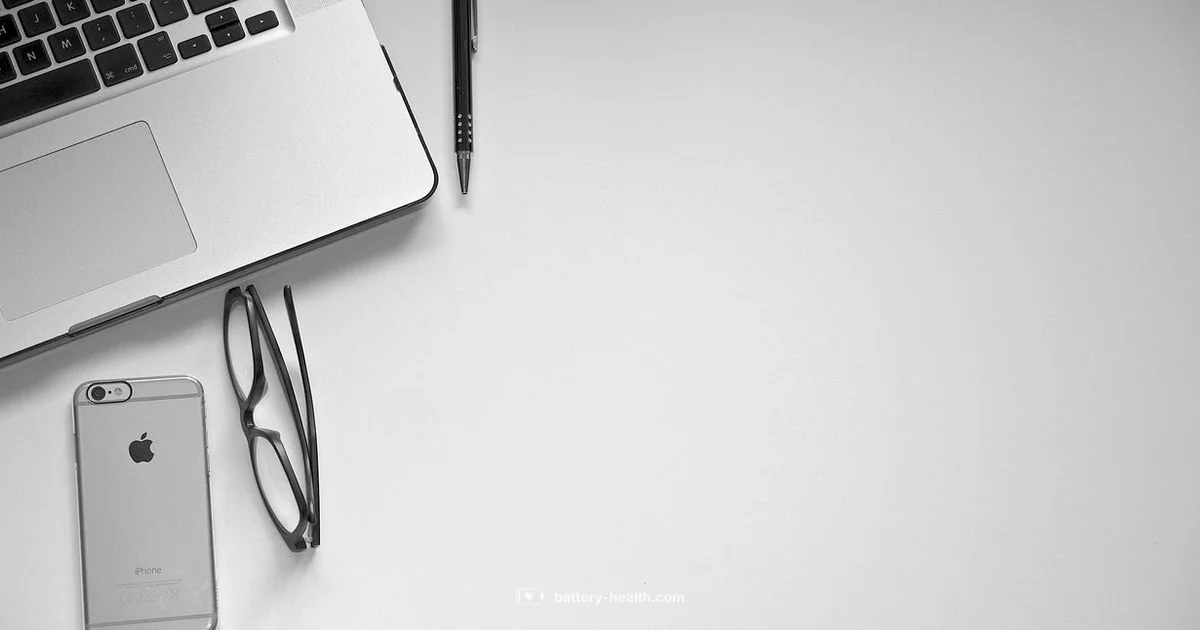 Phone Battery Pack Phone Battery Pack - Battery Health