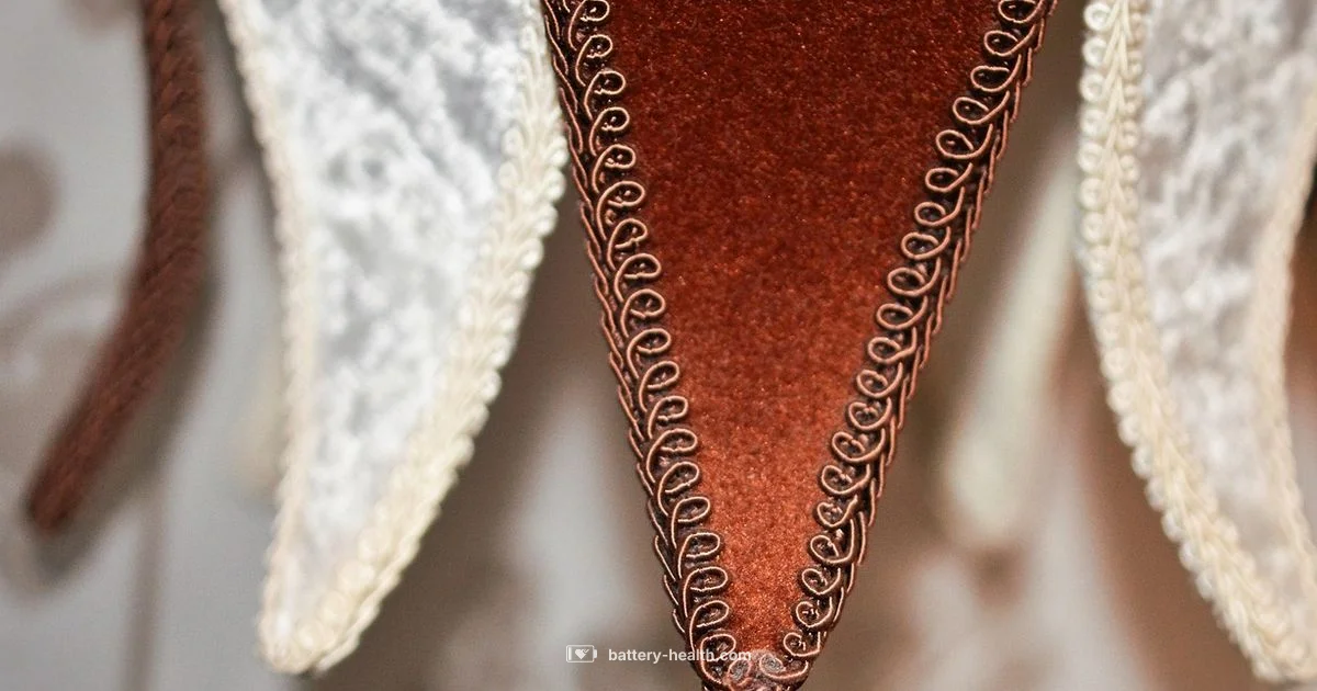 Cordless Lamp Guide - Battery Health