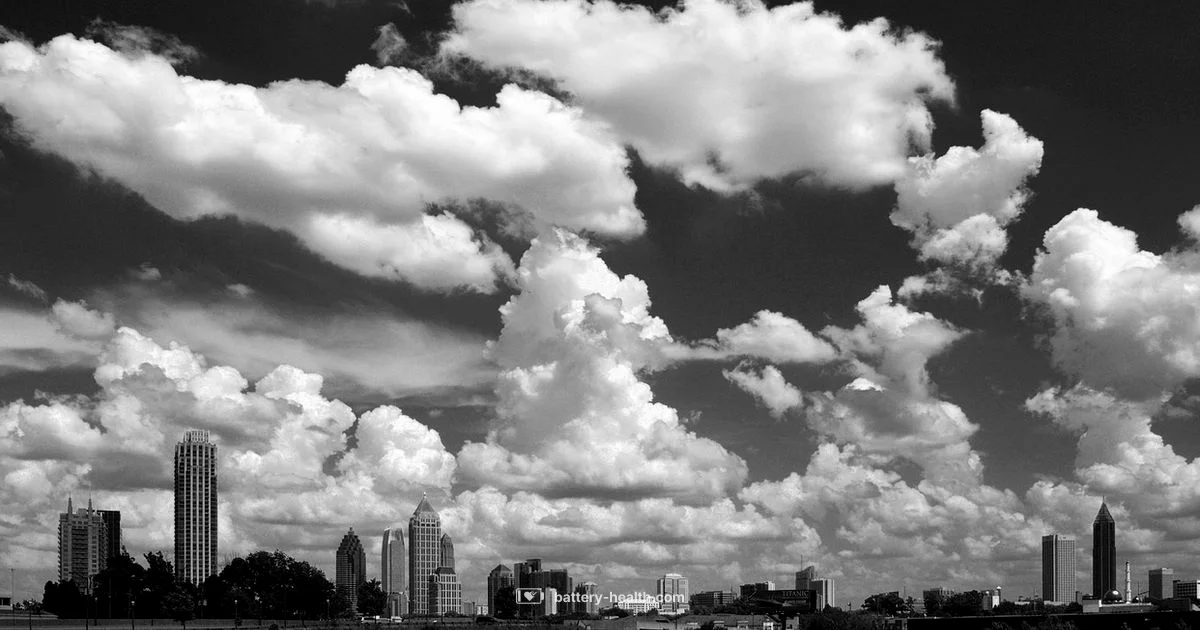 The Battery Atlanta Guide - Battery Health