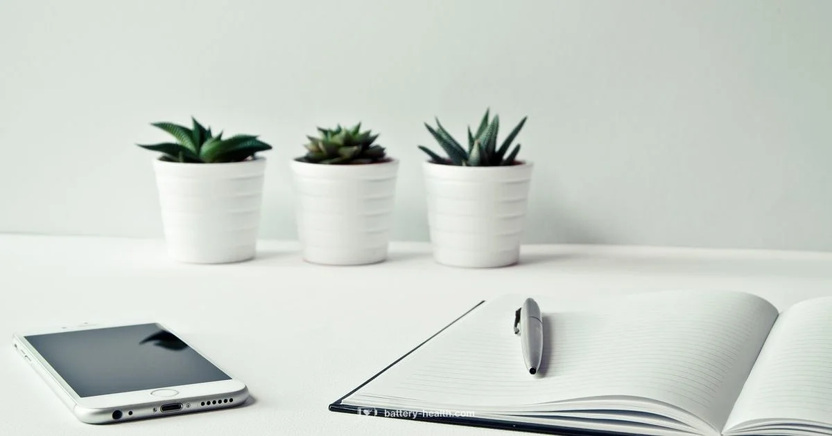 CR2032 Guide CR2032 Guide - Battery Health