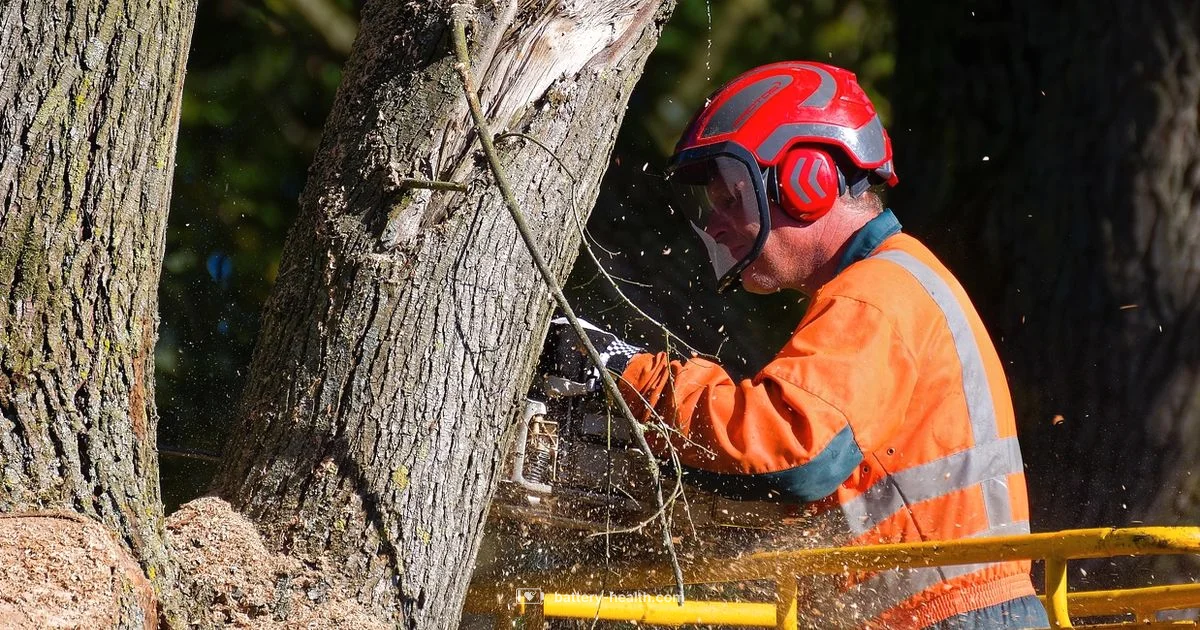 Battery vs Gas - Battery Health