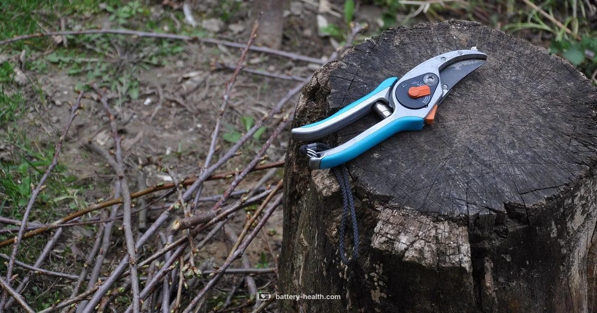 Cordless Pole Saw Guide - Battery Health