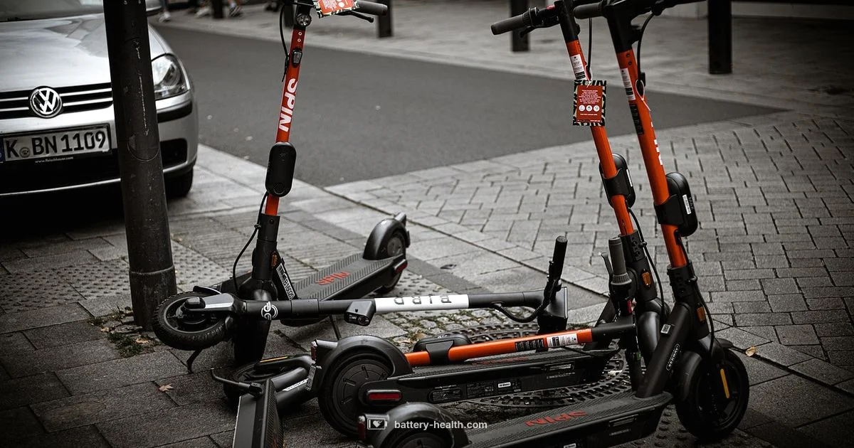 Scooter Charger Guide - Battery Health