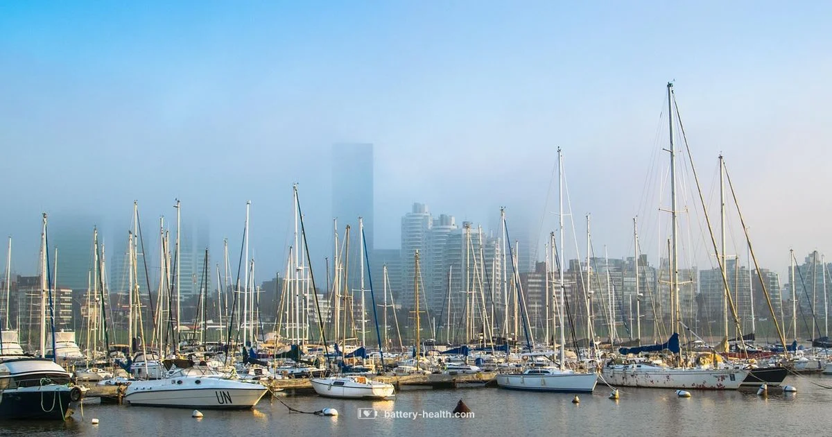 Interstate Marine Battery Guide - Battery Health