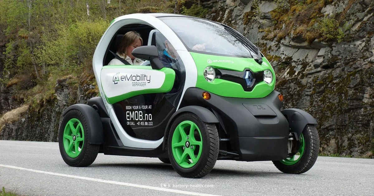 Li Car Battery Guide - Battery Health