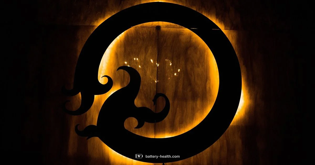 Omni Battery Stay Omni Battery Stay - Battery Health