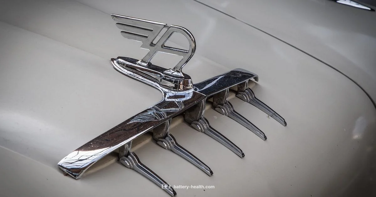 Dead Battery Signs Dead Battery Signs - Battery Health