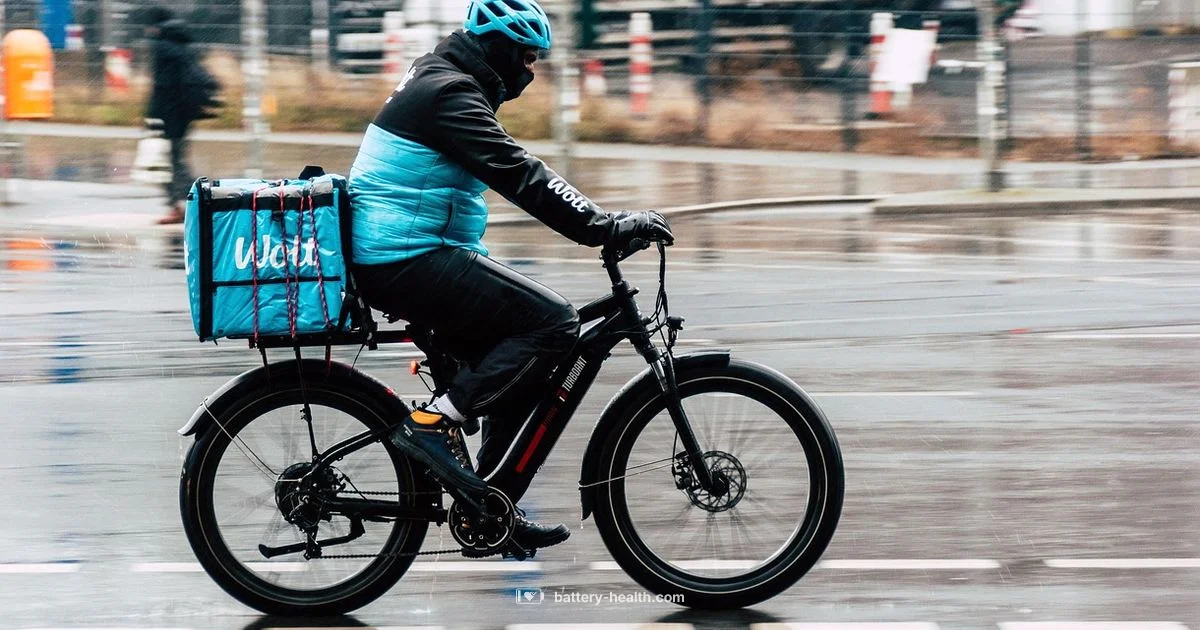 Battery Delivery - Battery Health