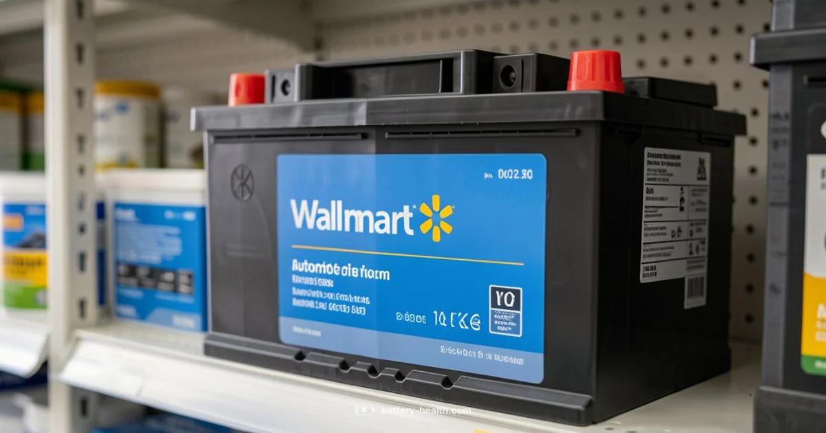 Walmart Battery Basics Walmart Battery Basics - Battery Health