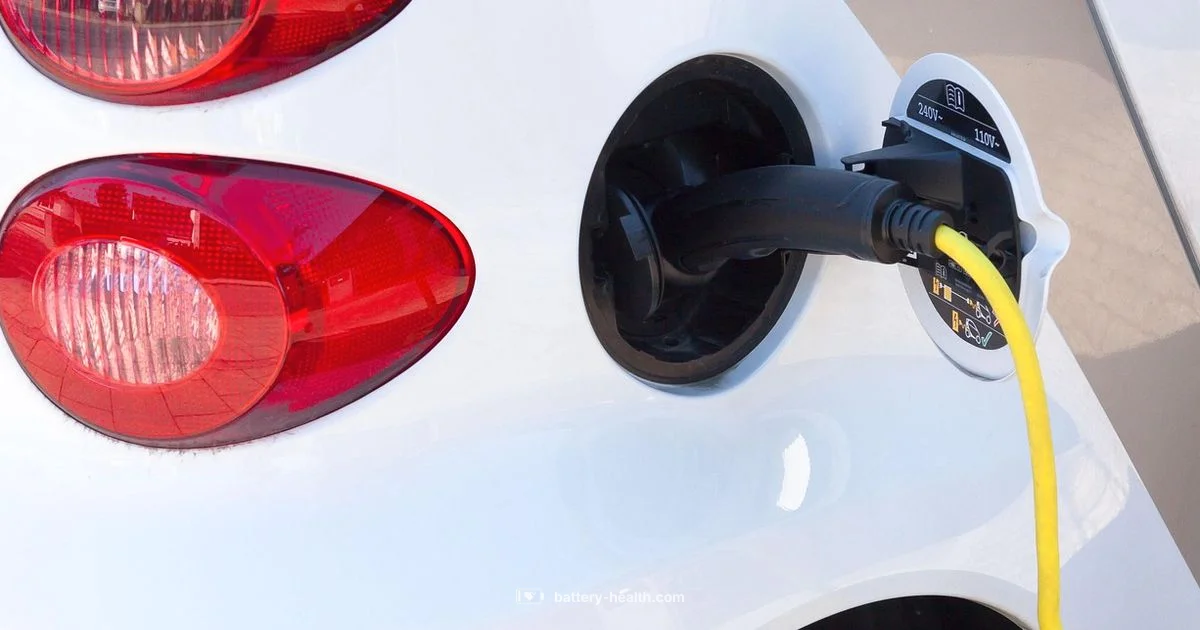 Cable End Basics - Battery Health