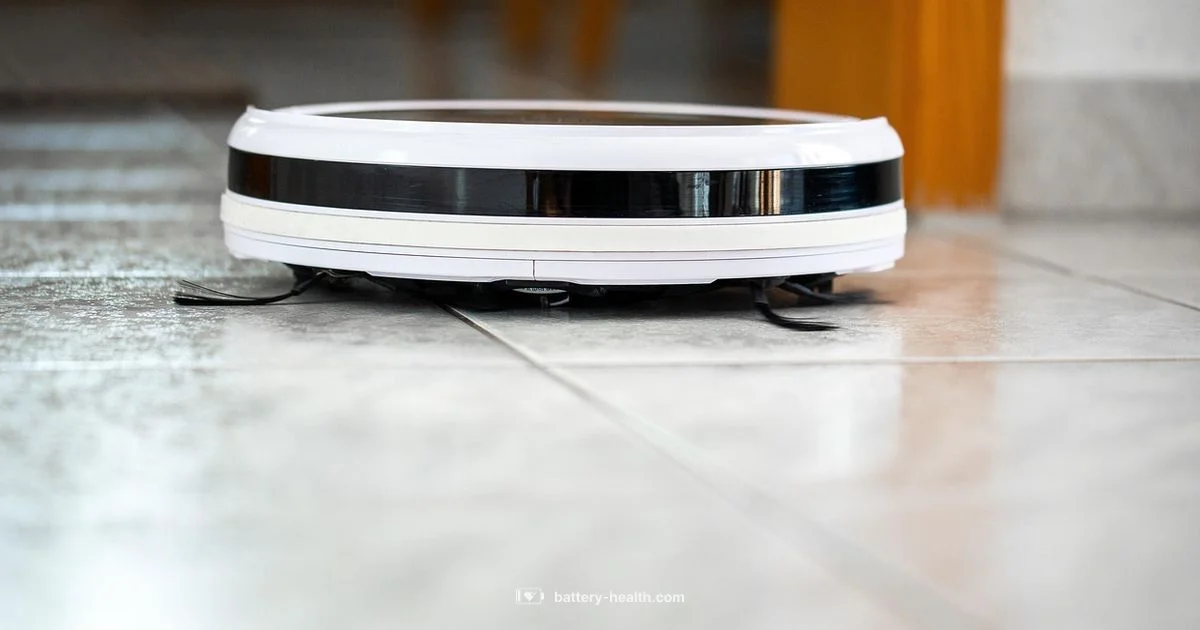 Best Hand Vac 2026 - Battery Health