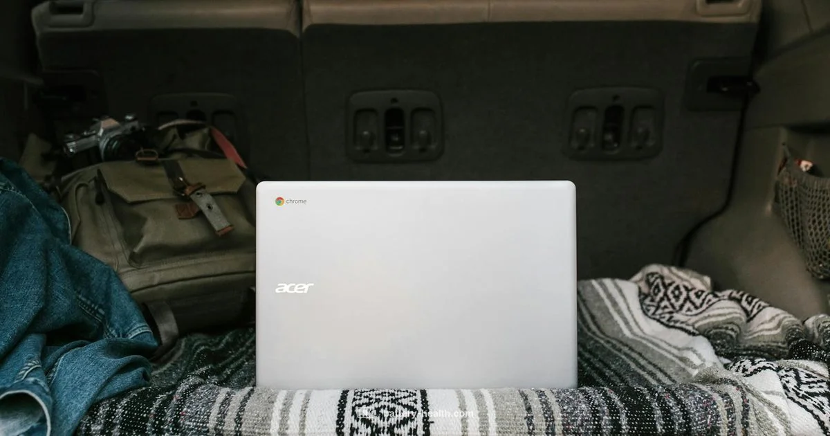 Jump Box Battery Guide - Battery Health