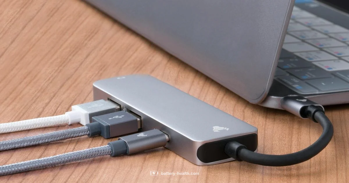 Smart Charging Guide Smart Charging Guide - Battery Health