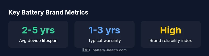 Infographic showing key metrics for battery brands