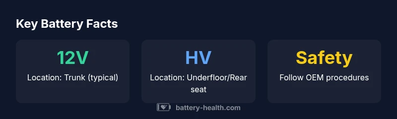 BMW battery locations infographic showing 12V in trunk and HV underfloor