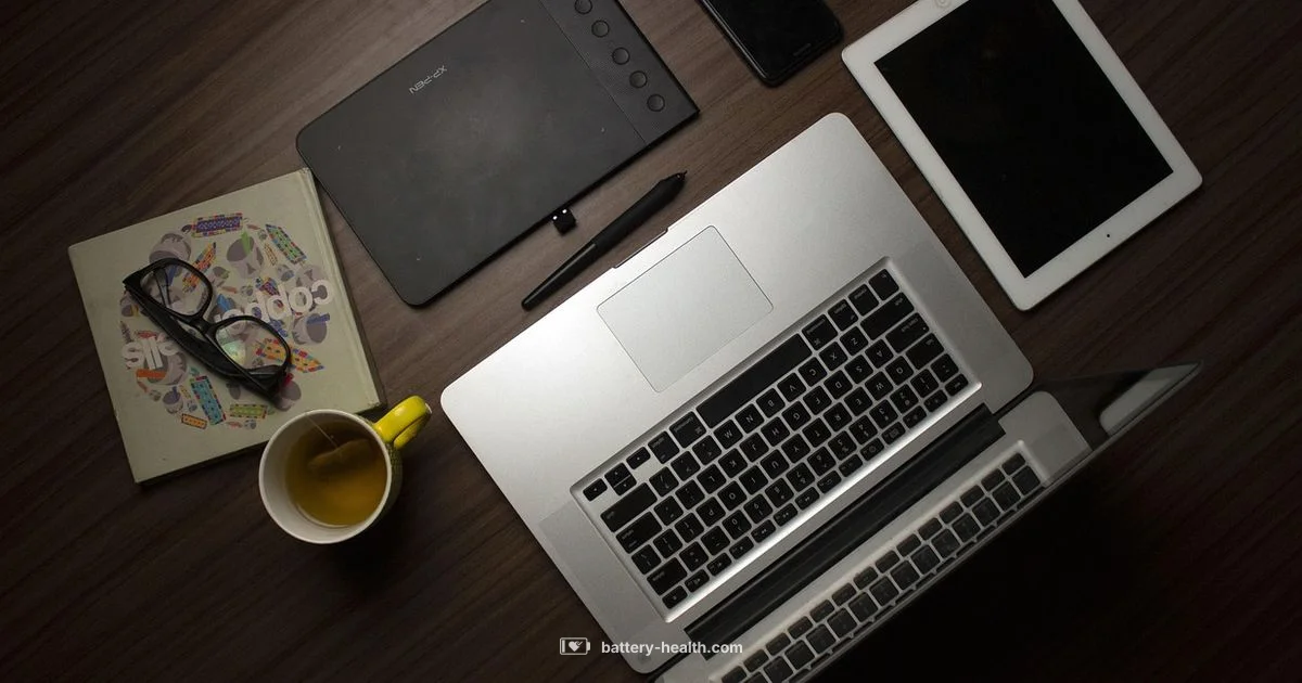 Replace iPad Battery - Battery Health