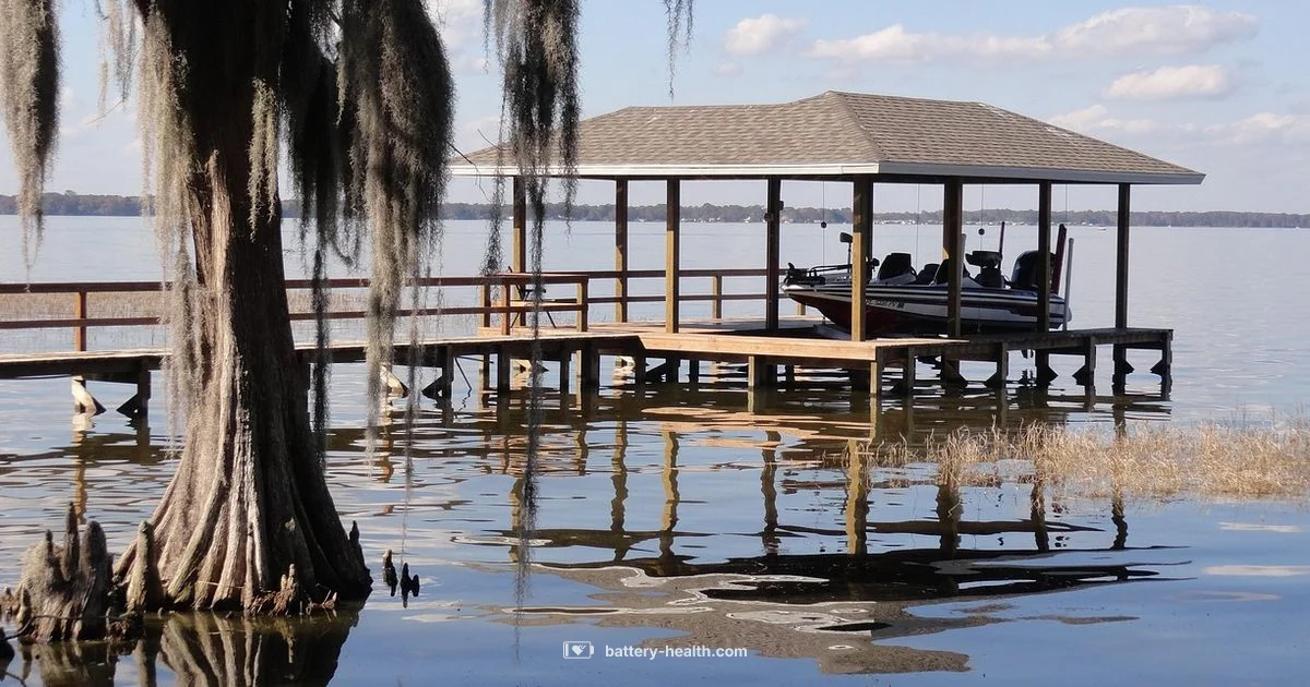 Marine Deep Cycle Battery - Battery Health