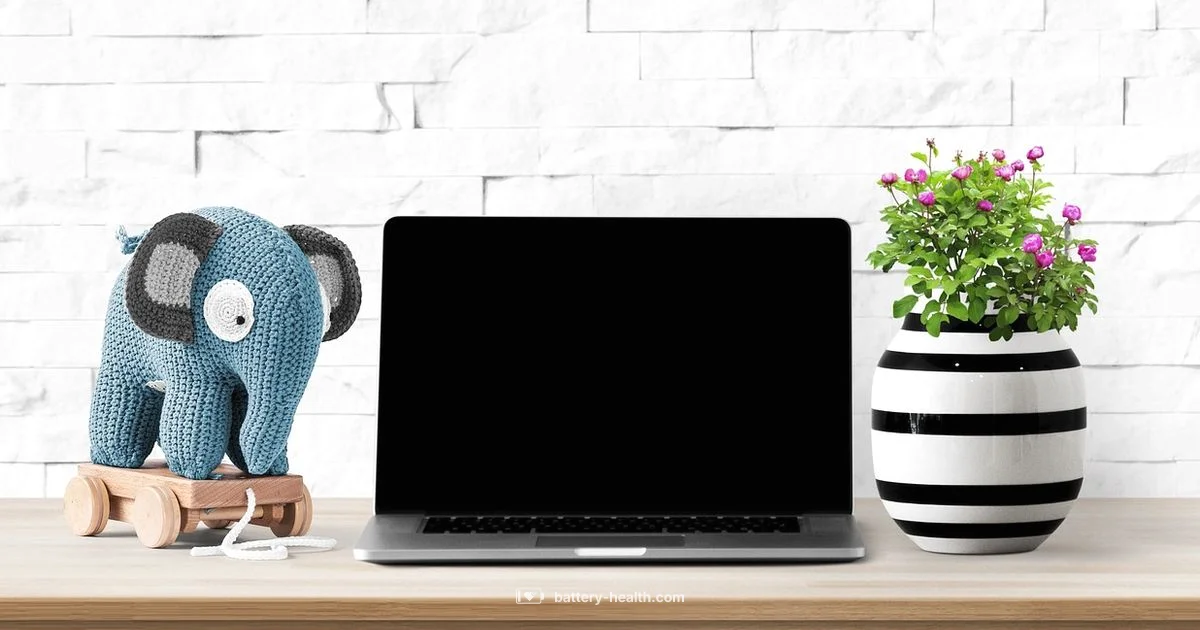 MacBook Battery Replacement - Battery Health