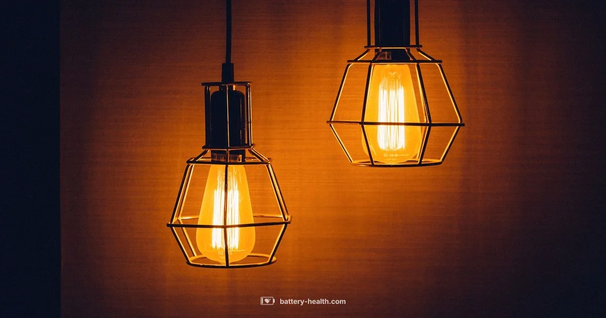 Battery and Bulbs Plus - Battery Health