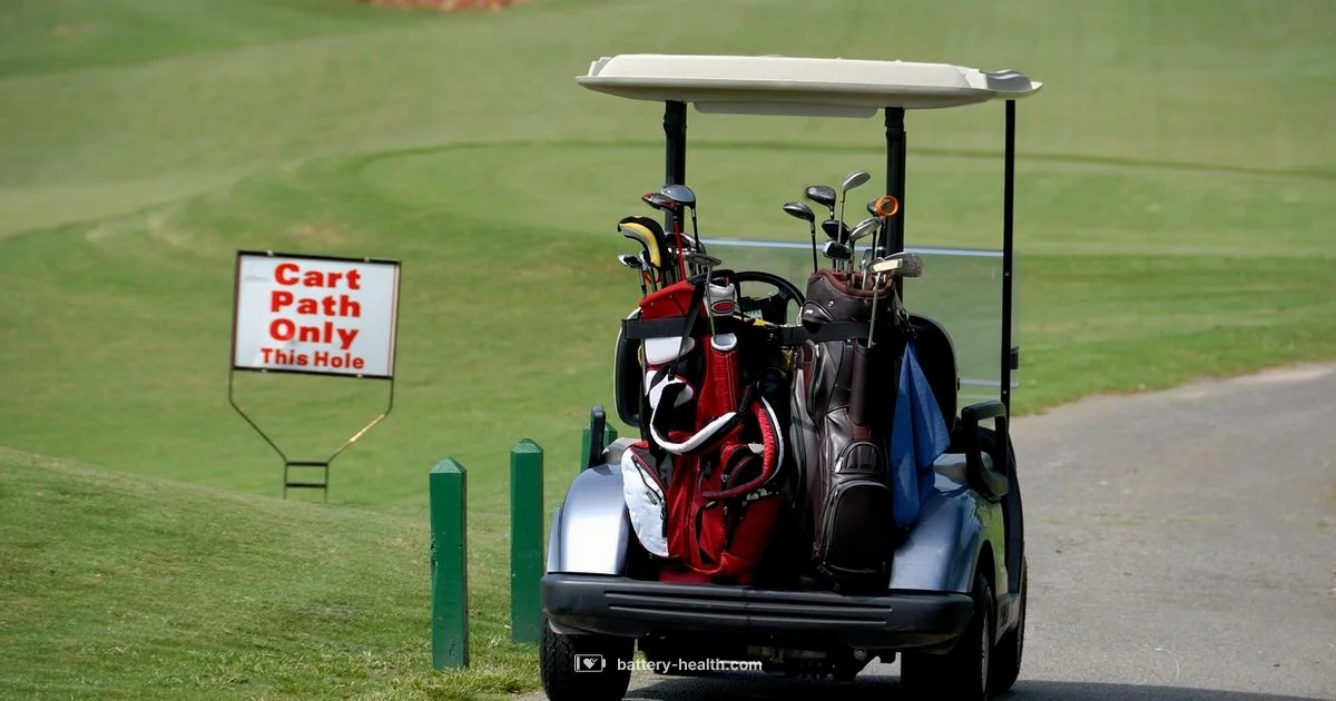 48V Battery Guide 48V Battery Guide - Battery Health