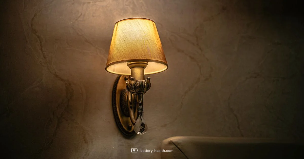 Battery Sconce Guide - Battery Health