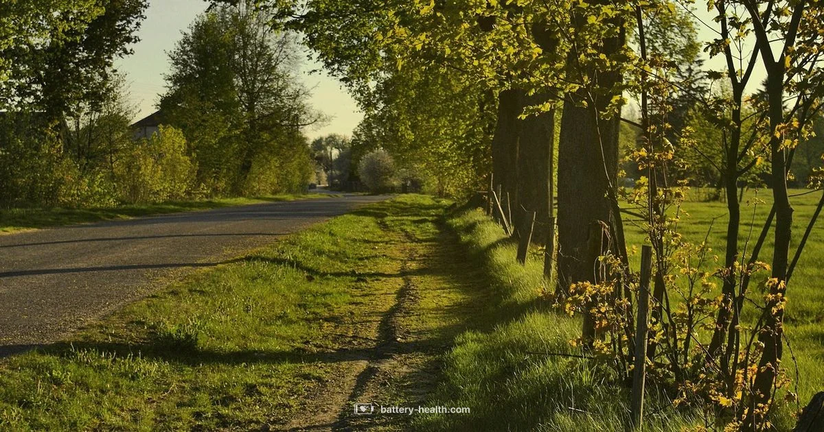 Battery Dead? Quick Fix - Battery Health