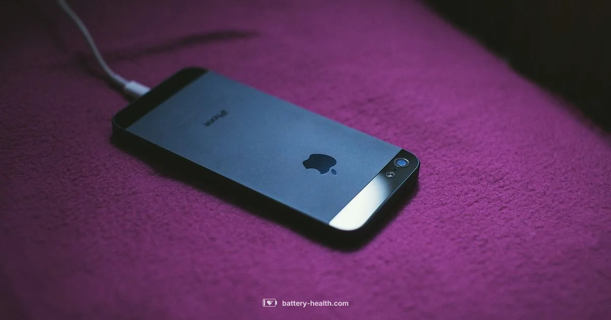 Power on the go - Battery Health