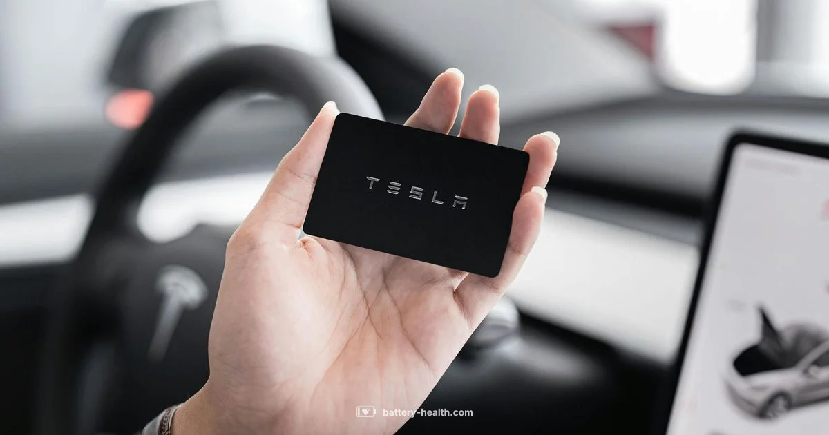 CR2032 Key Fob Battery - Battery Health