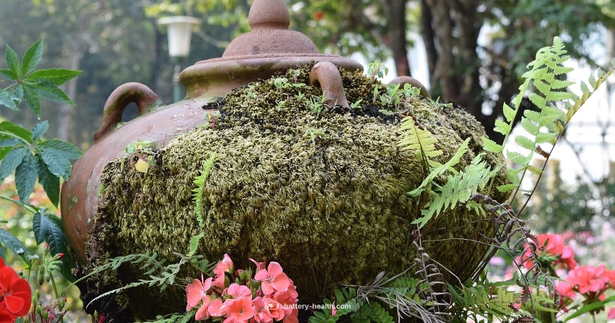 Ancient Battery Mystery - Battery Health