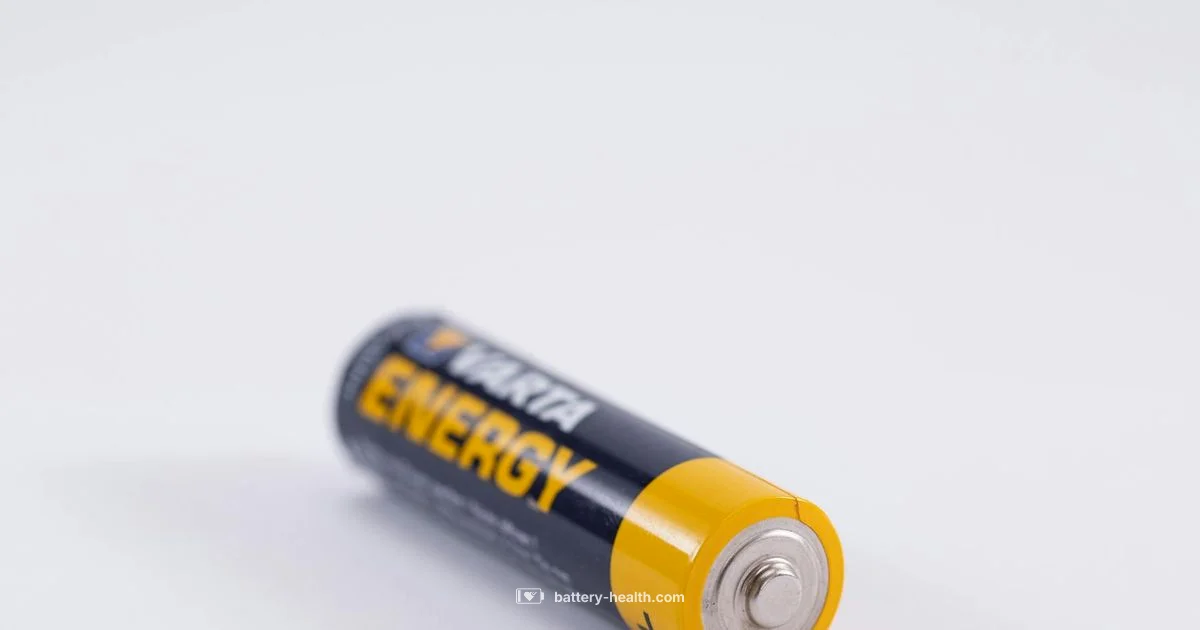 AG13 Battery Guide AG13 Battery Guide - Battery Health