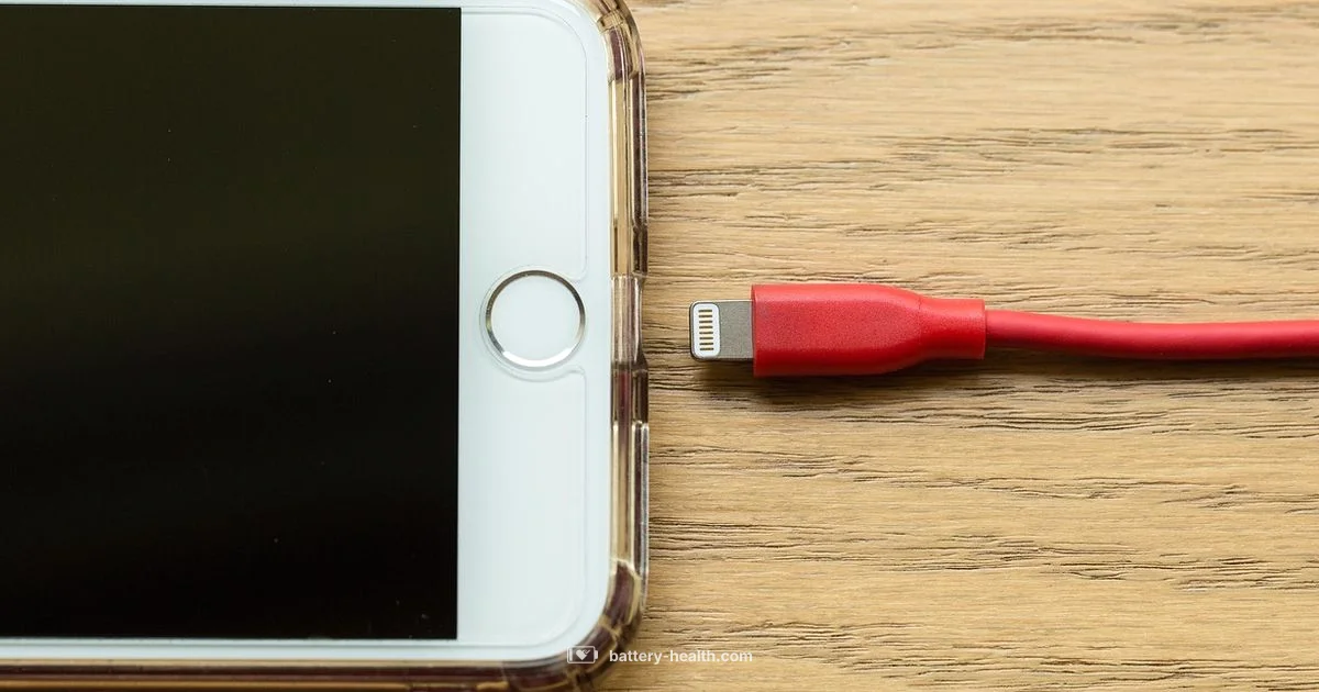 CR2032 Guide CR2032 Guide - Battery Health