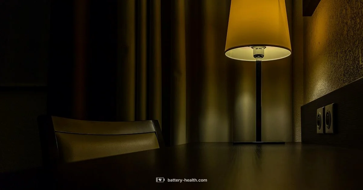 CR2032 Basics CR2032 Basics - Battery Health