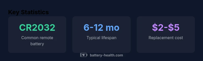 Infographic showing common remote battery types, lifespan, and replacement cost