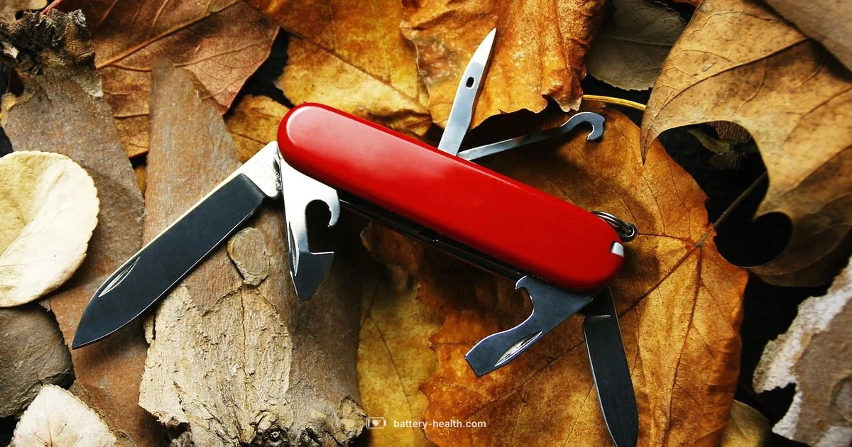 Knife Switch Guide - Battery Health