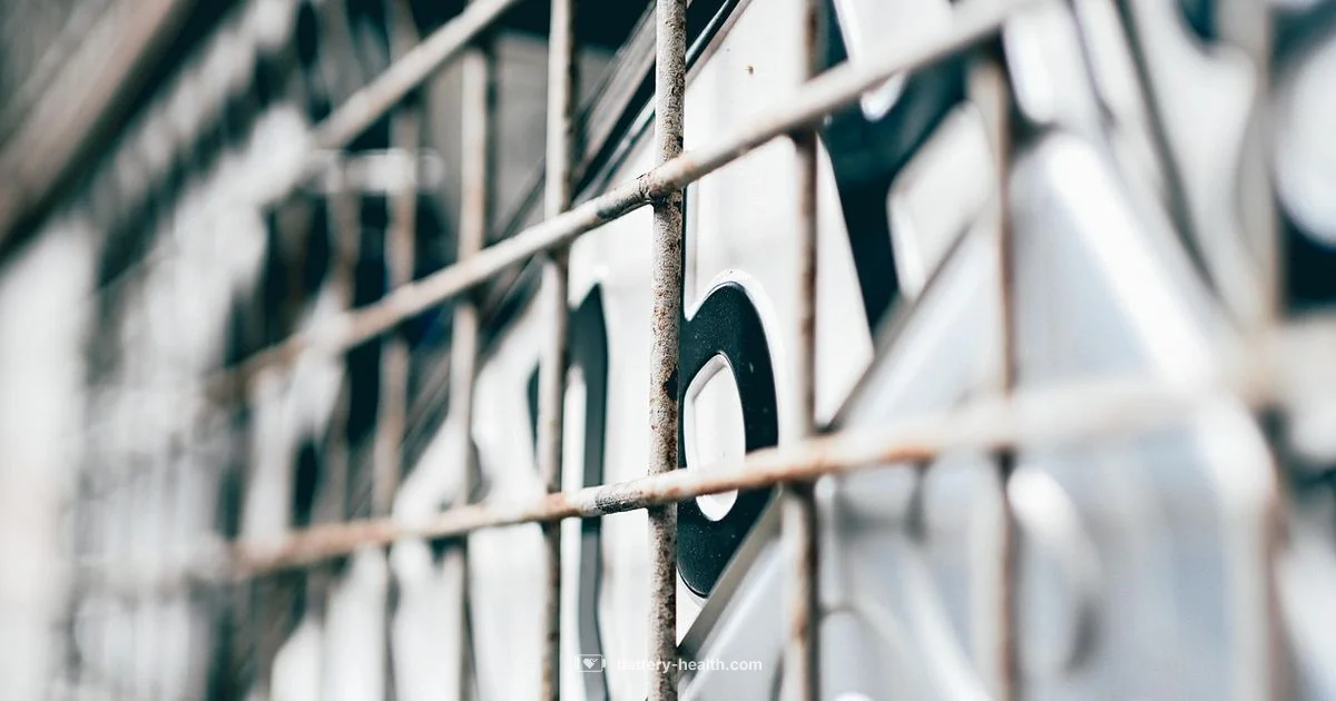 Li Ion Recycling Li Ion Recycling - Battery Health