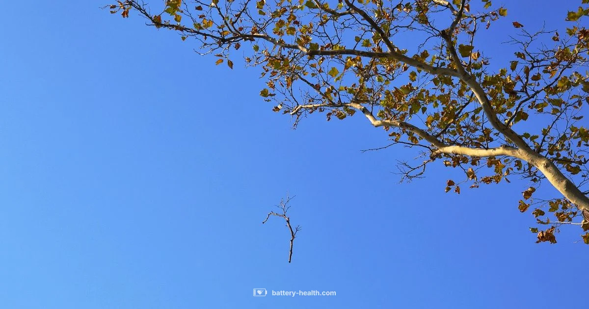 Urban Battery Health