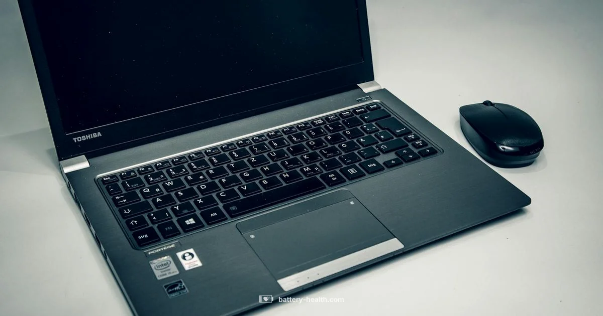 LR44 Button Battery - Battery Health