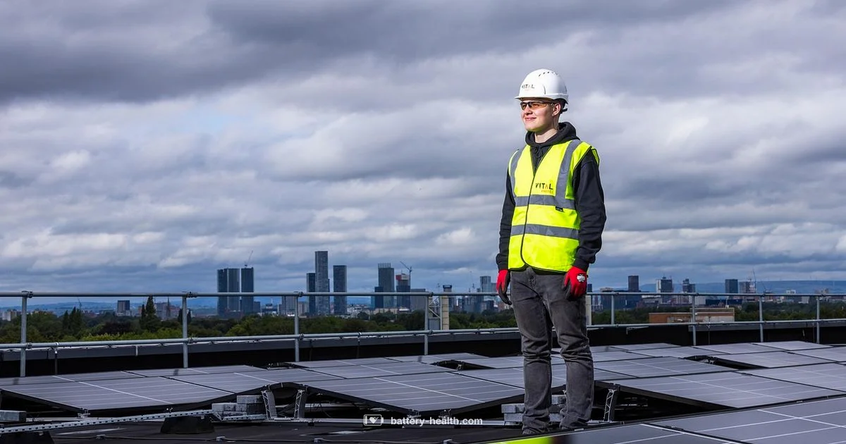 Tesla Energy Setup - Battery Health