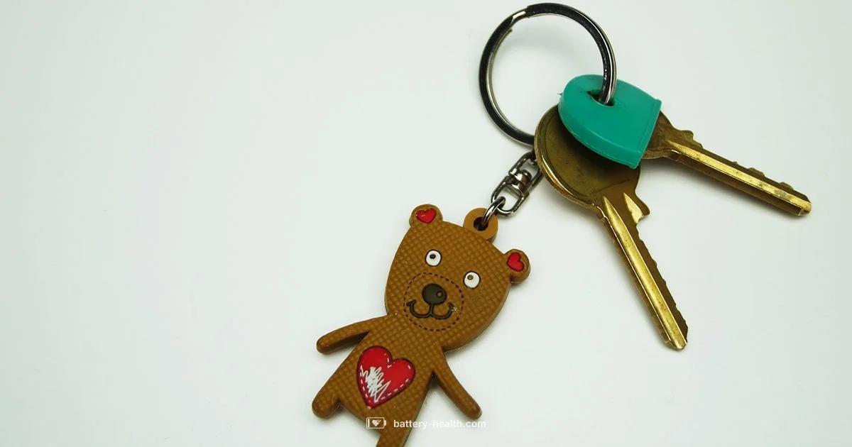 Key Fob Battery Guide Key Fob Battery Guide - Battery Health