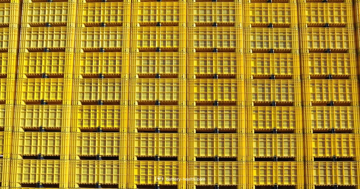 Battery Depot Essentials - Battery Health