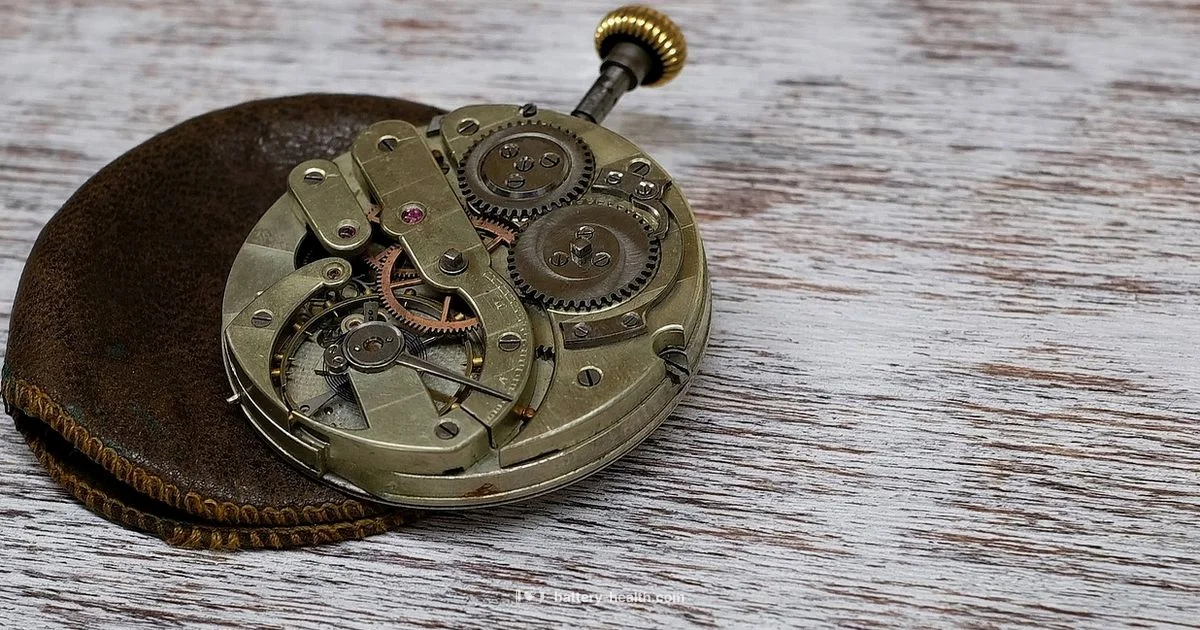 Watch Battery Kit Guide - Battery Health