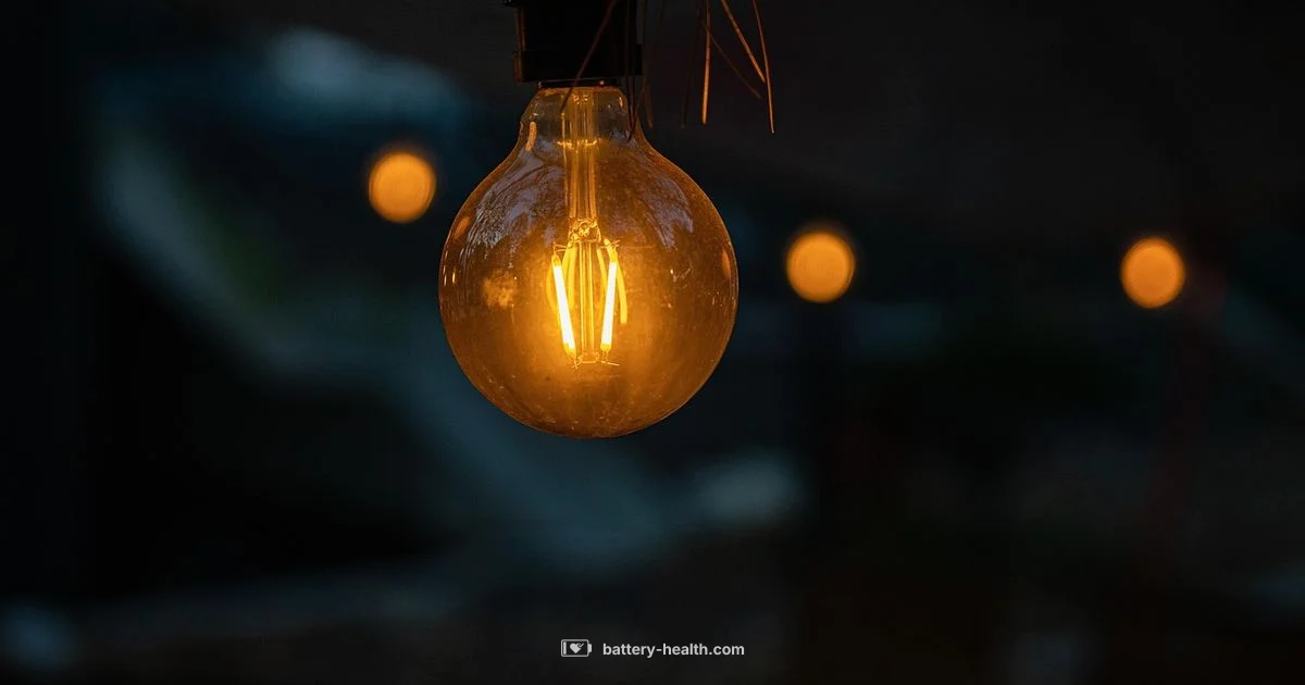 Bulb and Battery Bulb and Battery - Battery Health