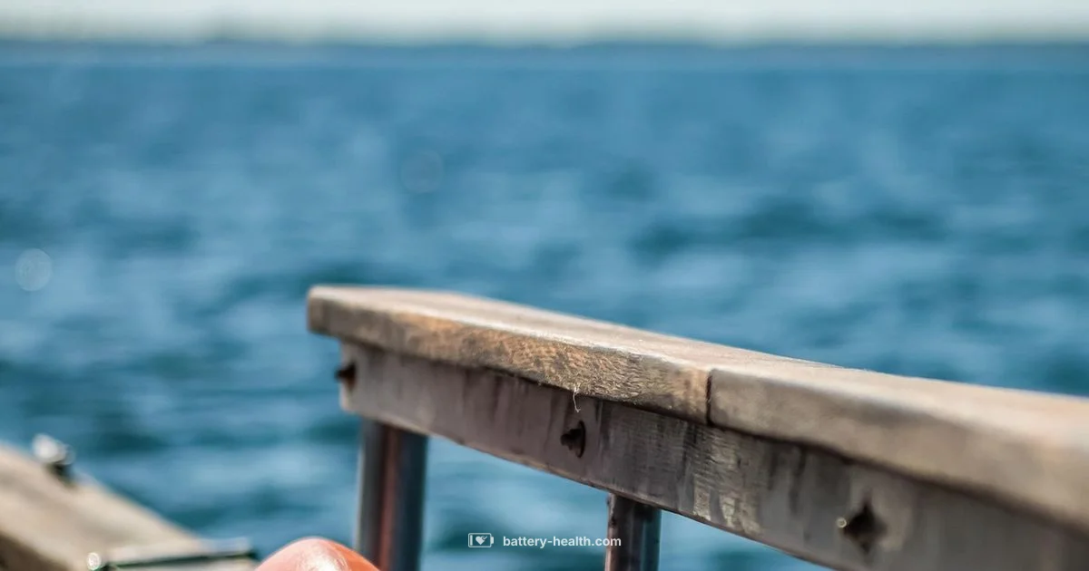 Marine Charger Guide - Battery Health