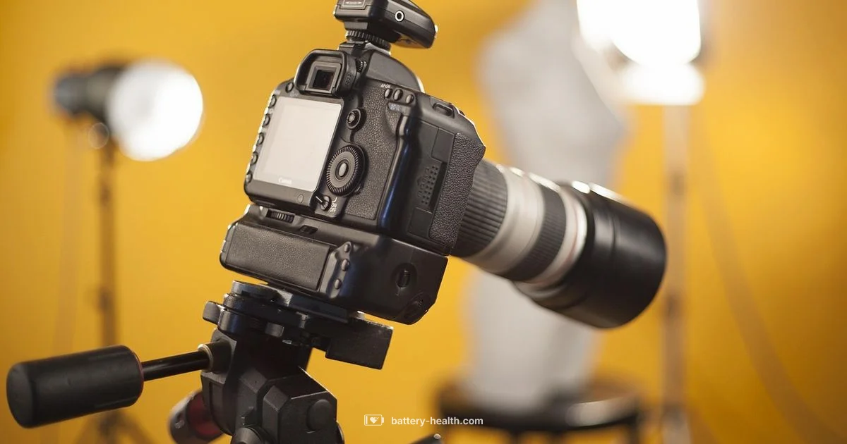 Security Battery Guide - Battery Health