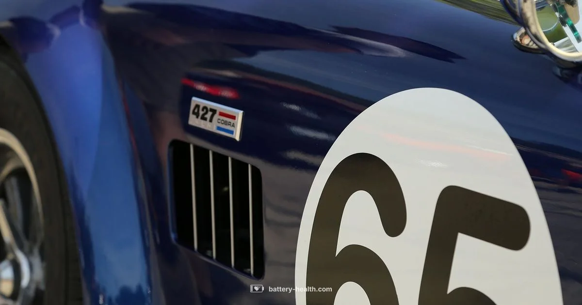 65 Group Size Guide 65 Group Size Guide - Battery Health