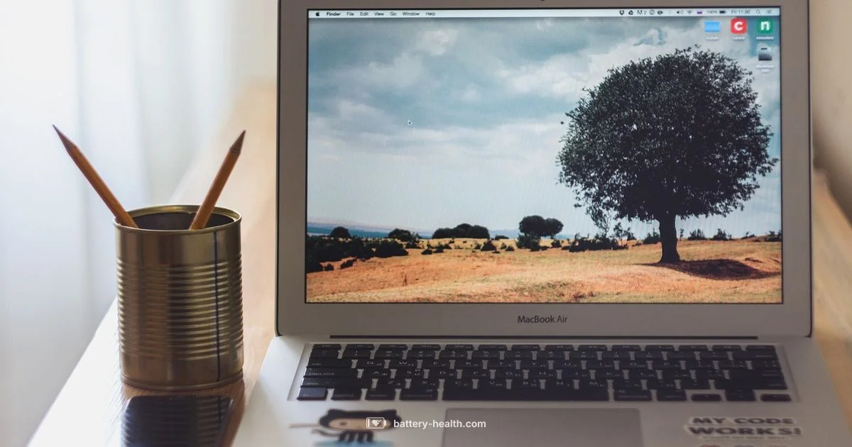 Mac Air Battery Repair - Battery Health