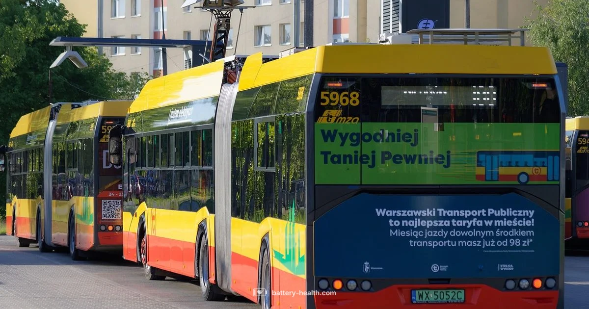 Battery Electric Vehicles - Battery Health