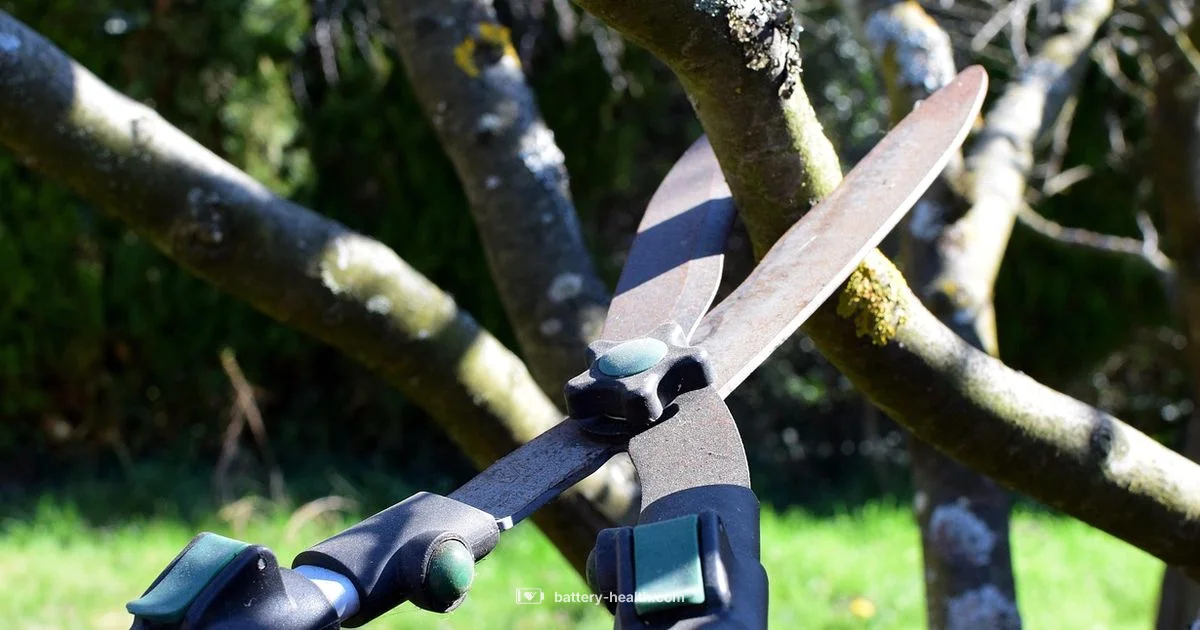 Stihl Trimmer Guide - Battery Health