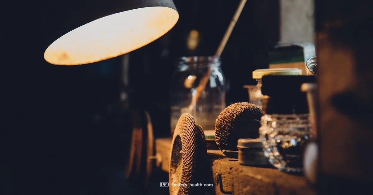 Battery Xpress - Battery Health