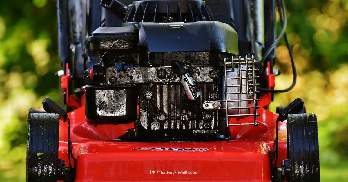 Battery Lawn Mower Guide - Battery Health